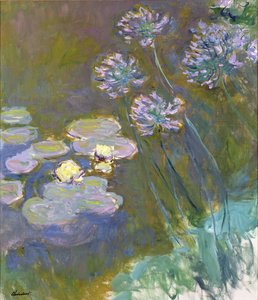 Vesililjat ja Agapanthus tekijältä Claude Monet