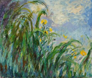 Keltaiset iirikset, c. 1925. tekijältä Claude Monet