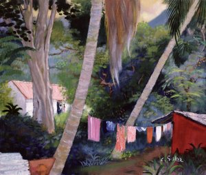 Kuivauspesu, Guadeloupe
