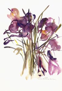 Krookus, 2003 (akvarelli)