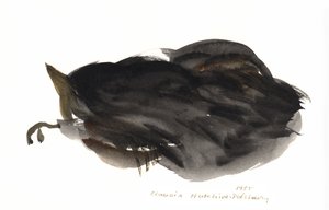 Nukkuva kissa, 1985 (akvarelli) tekijältä Claudia Hutchins Puechavy