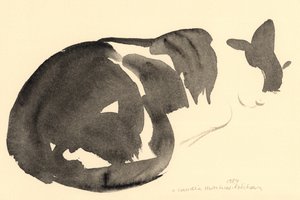 Nukkuva kissa, 1984 (akvarelli) tekijältä Claudia Hutchins Puechavy
