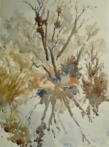 Lampaanlihan koipi, Eton, 2010 (akvarelli)