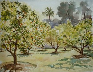 Mamounia, appelsiinilehdot, 2000 (akvarelli)