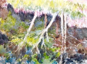 Metsän heijastuksia, Hopeajärvi, 2017 (akvarelli) tekijältä Clive Wilson