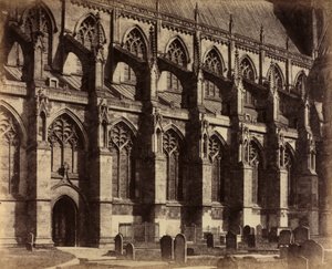 South Side Beverley Minster tekijältä Col. Alfred Capel Cure