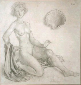 Tutkimus Venus & Amor