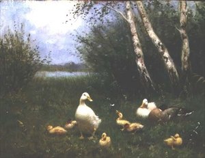 Ankat ankanpoikien kanssa (öljy kankaalle)