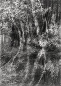  tekijältä Corné Akkers