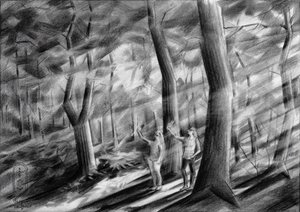  tekijältä Corné Akkers