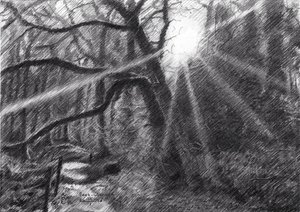  tekijältä Corné Akkers