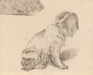Istuva koira, 1777. tekijältä Cornelis Brouwer