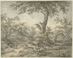 metsäinen maisema tekijältä Cornelis Buys