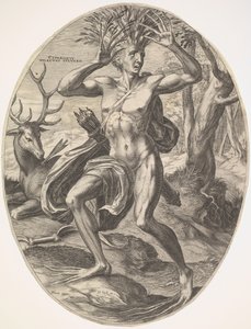 Cyparissus sarjasta The Rural Gods, 1565. tekijältä Cornelis Cort