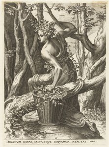 Dryas (otsikko esineessä) Goddess and Nymphs (sarjan nimi) tekijältä Cornelis Cort