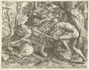 Herkules kuristaa Nemean leijonan Labors of Hercules (sarjan nimi) tekijältä Cornelis Cort