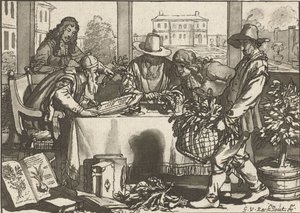 kasvitieteilijä tekijältä Cornelis Ploos van Amstel (signed by artist)