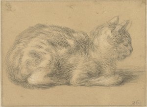 Oikealla istuva kissa tekijältä Cornelis Saftleven (possibly)