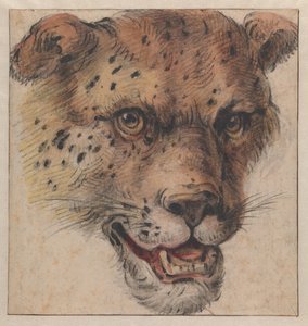  tekijältä Cornelis Saftleven