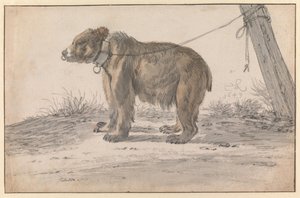  tekijältä Cornelis Saftleven