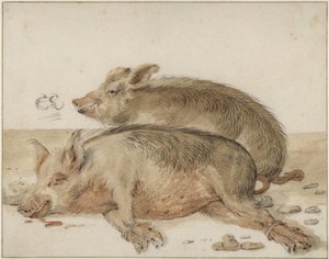  tekijältä Cornelis Saftleven