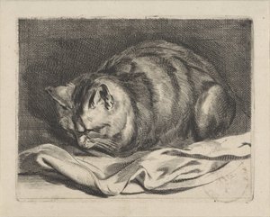pieni kissa tekijältä Cornelis Visscher (II)