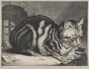 Suuri Kissa tekijältä Cornelis Visscher (II)