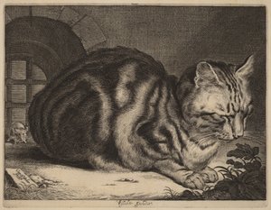 Suuri Kissa