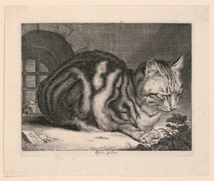 Suuri Kissa tekijältä Cornelis Visscher
