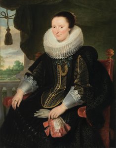  tekijältä Cornelis de Vos