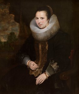  tekijältä Cornelis de Vos
