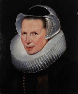  tekijältä Cornelis de Vos