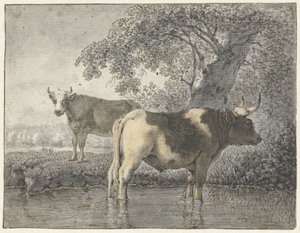 Kaksi lehmää puun alla veden äärellä tekijältä Cornelis van Noorde