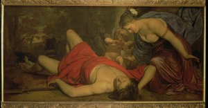 Venus itkee Adonisin kuolemaa (öljy kankaalle) tekijältä Cornelius Holsteyn