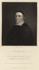 William Harvey tekijältä Cornelius Janssen van Ceulen