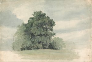 Puiden tutkimus pellon reunalla tekijältä Cornelius Varley