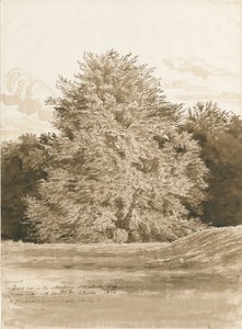 Wrottesley Hall - The Shrubbery: seepiapiirros, 1820 tekijältä Cornelius Varley