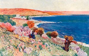 Betsaidan paikka