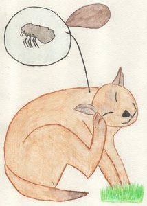 Röyhkeä kirppu