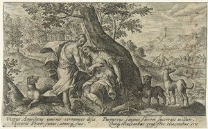 Apollo ja Hyacinthus Metamorfosen van Ovidius (sarjan nimi)