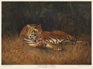 Illallisen jälkeen, tyytyväinen (väri litho)