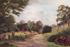 Varhaiset krysanteemit, Claremont (väri litho)