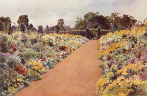 Kaksoisrajat East Gardenissa, Sandringham (väri litho) tekijältä Cyril Ward