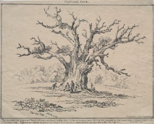 Fairlop Oak tekijältä D. H. Redman