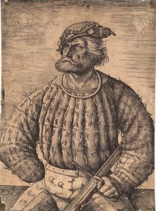 Kunz von der Rosen, kejser Maximilianin hofnar