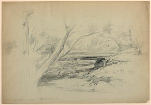 Artist