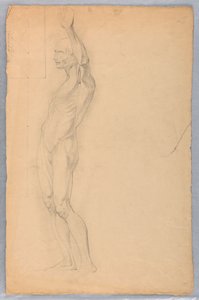 Piirros, Anatominen tutkimus miehestä, n. 1850. tekijältä Daniel Huntington