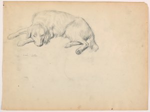 Piirros, Dash (setteri), n. 1862. tekijältä Daniel Huntington