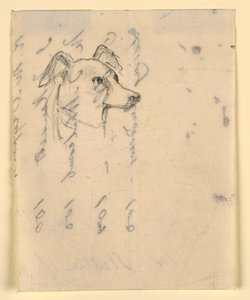 Piirros, koiran pää, luultavasti Milo (pointteri), n. 1862. tekijältä Daniel Huntington