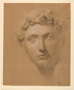 Piirros, miehen pää kipsistä, 1840 tekijältä Daniel Huntington